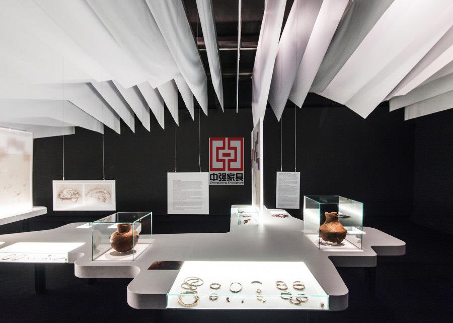 優(yōu)質(zhì)博物館展柜定制服務(wù),滿足多樣化需求-中強展柜
